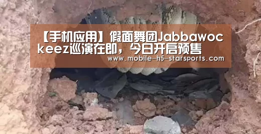 【手机应用】假面舞团Jabbawockeez巡演在即,今日开启预售(图1) 星空体育app下载