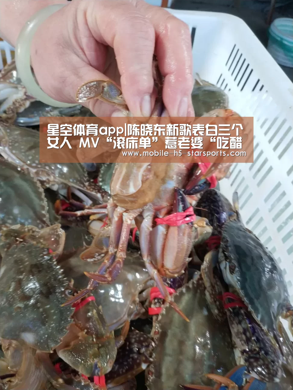 星空体育app