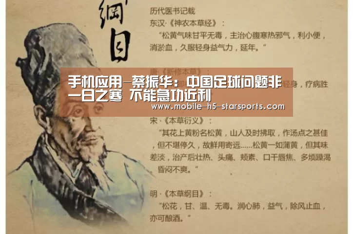 手机应用