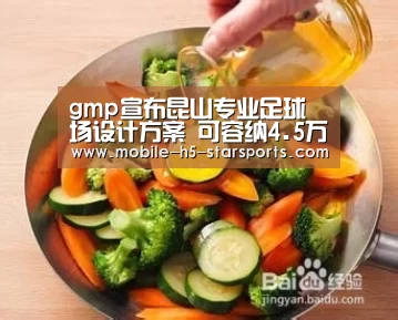 gmp宣布昆山专业足球场设计方案 可容纳4.5万人 预计2022年竣工|星空体育下载(图4) 星空体育app